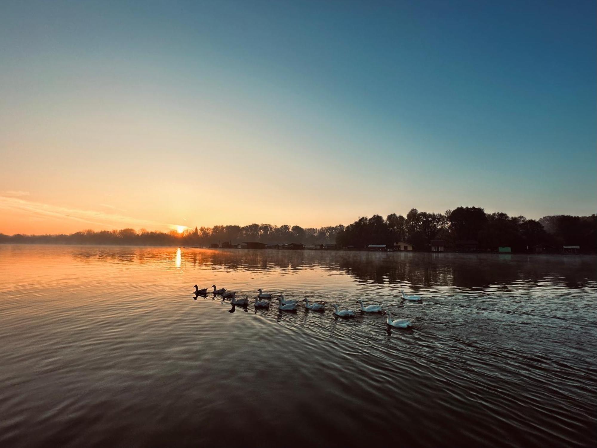 Swan Hotel Белград Екстериор снимка